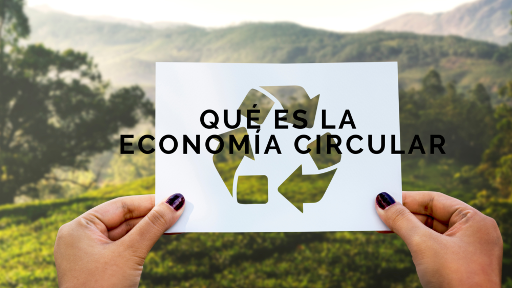 economía circular